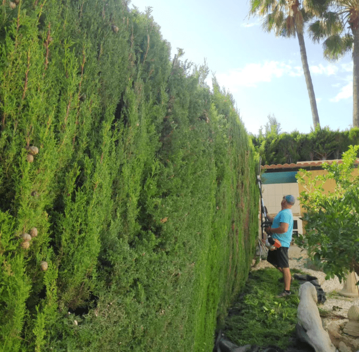 Captura de pantalla 2025-12-25 194318 jardinero podando