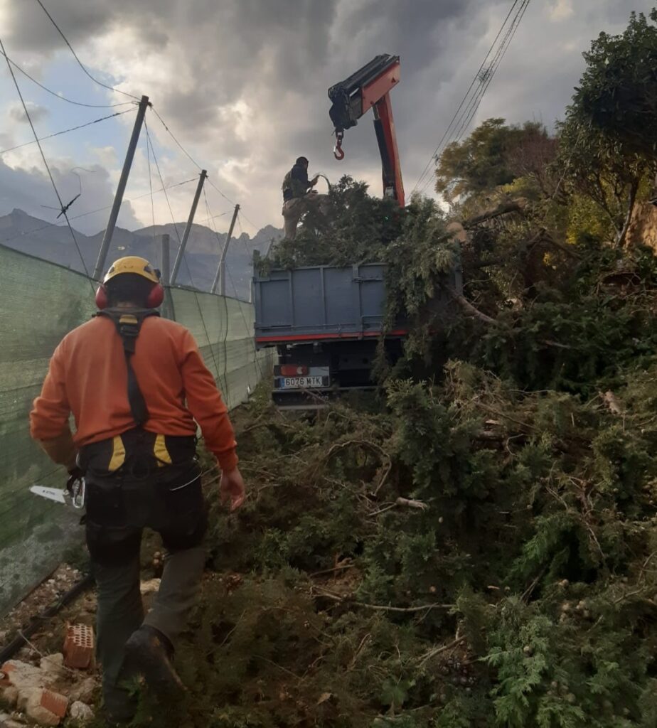 c5c24918-94b6-4519-8a37-ca34c096076a